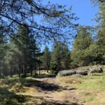 About May We All Heal